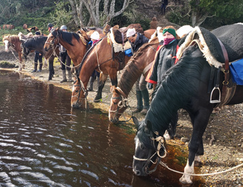 A cheval en Patagonie