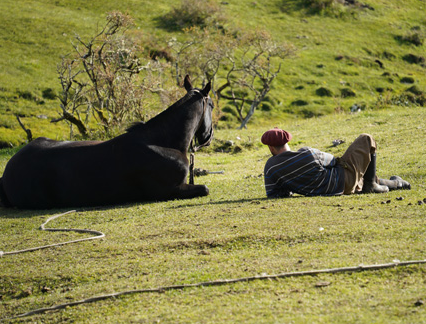rando à cheval Patagonie