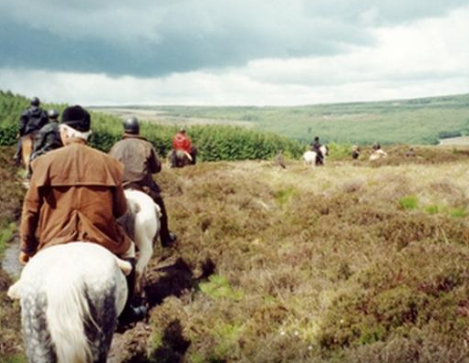 rando cheval irlande