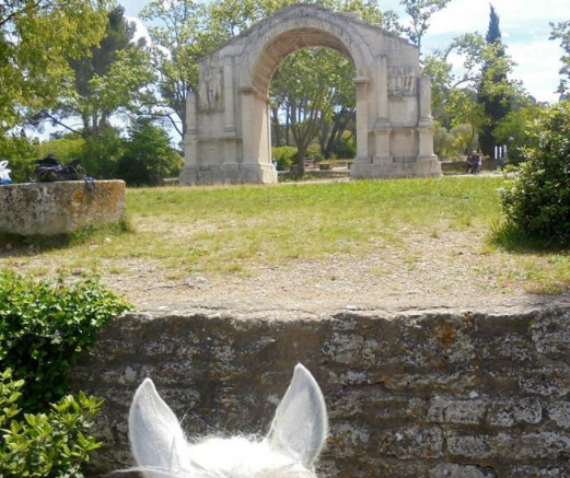 rando cheval Alpilles en Provence