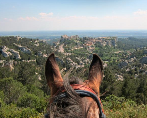 rando cheval Alpilles Provence