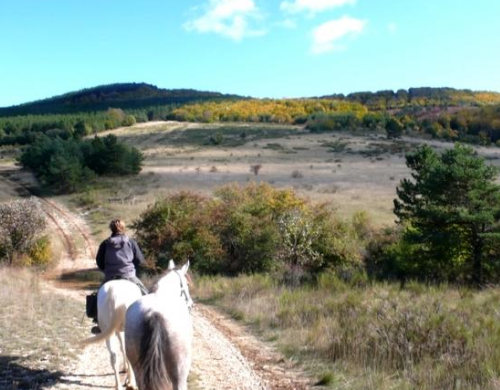 faire une randonnée à cheval dans le Luberon