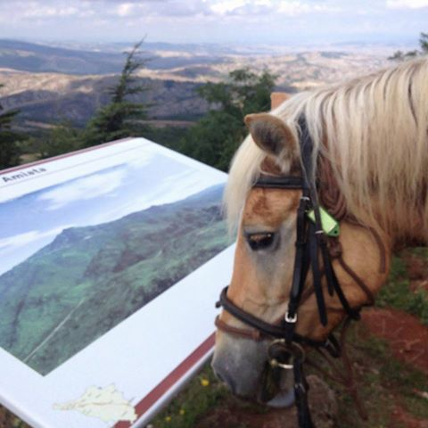 rando a cheval en toscane