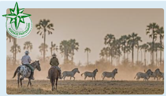 safari à cheval