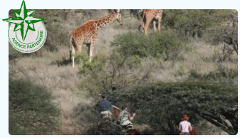 safari à cheval au Kenya