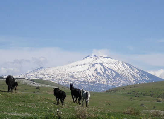 Randonnée cheval Sicile