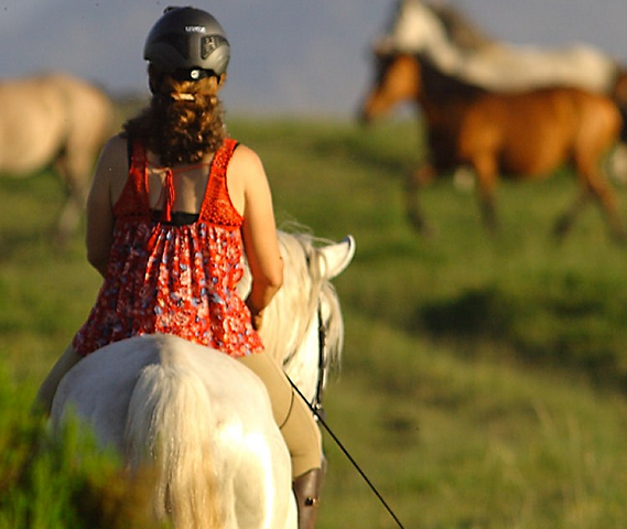 Vacances à cheval au Portugal