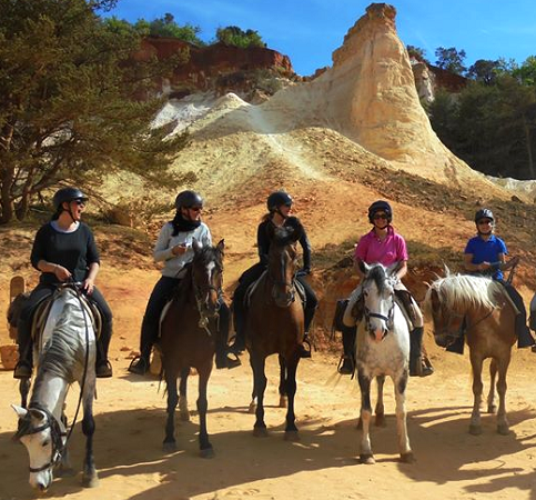 rando cheval dans la lavande