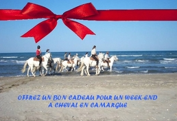 randonnée à cheval Camargue