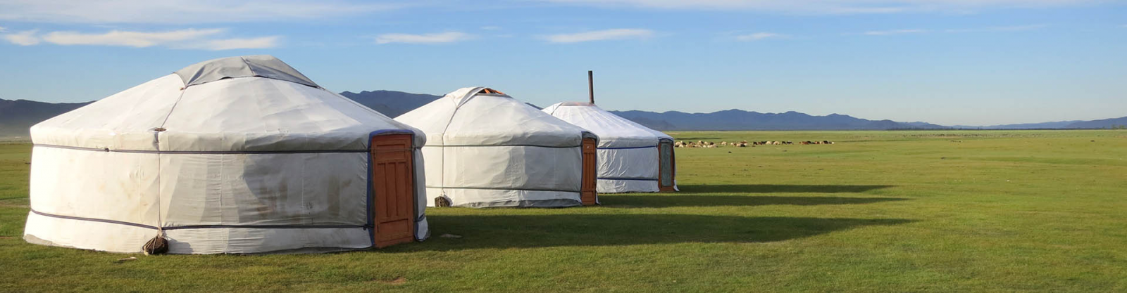 rando cheval en Mongolie