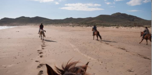 Sud Espagne à cheval