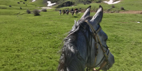 semaine rando à cheval en Italie