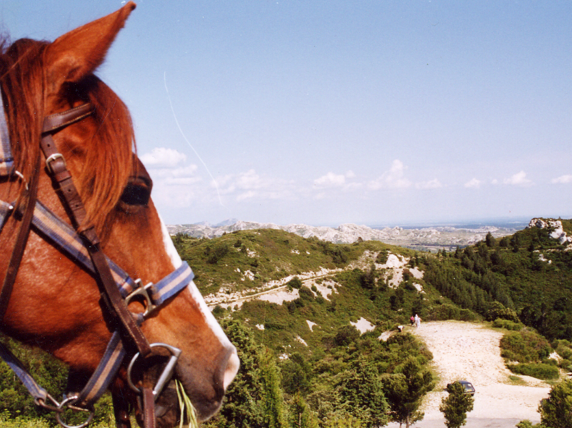 rando à cheval dans les Alpilles