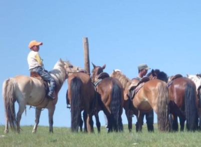 A cheval en Mongolie