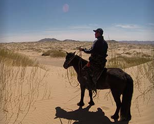 rando cheval Mongolie