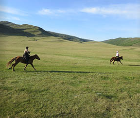 Rando à cheval en Mongolie