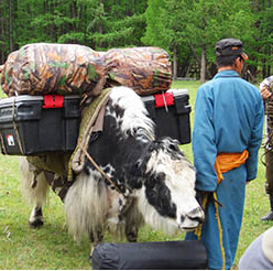 rando cheval Mongolie