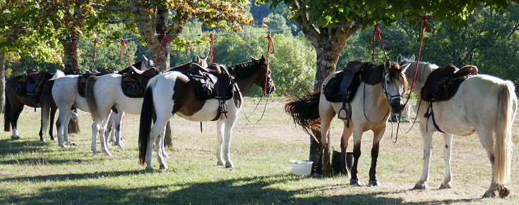 rando à cheval Périgord