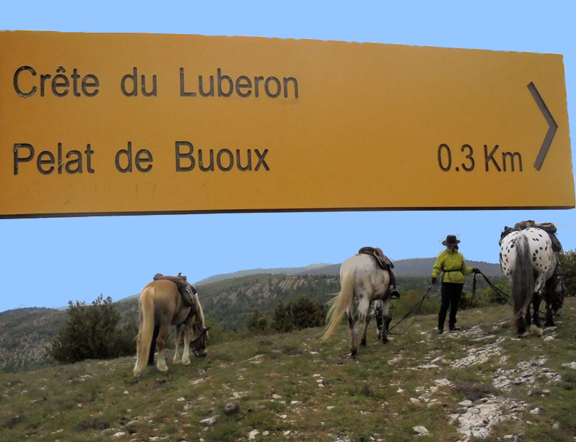 rando à cheval Luberon