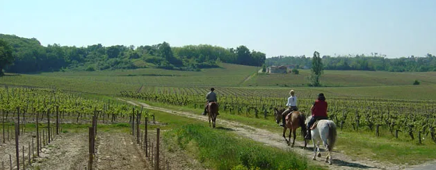 randonnee a cheval dans le bordelais