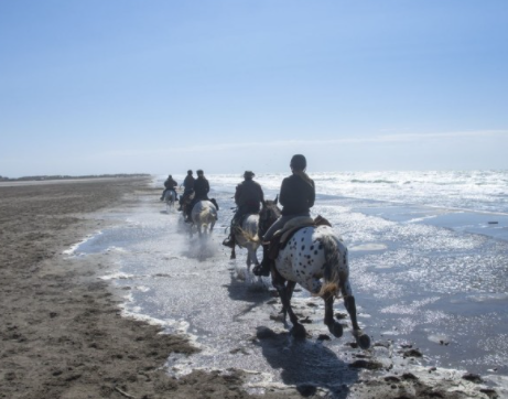 rando à cheval Camargue