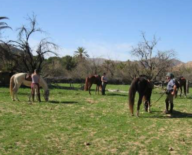 randonnée cheval Maroc