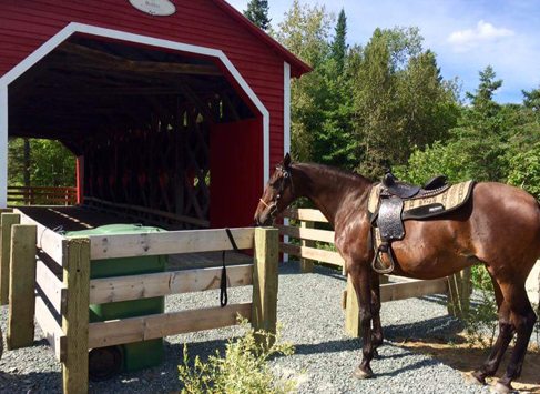 sejour a cheval dans un ranch au Québec