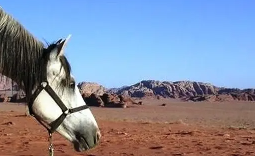 Jordanie à cheval