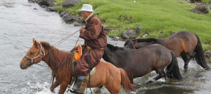 rando à cheval Mongolie