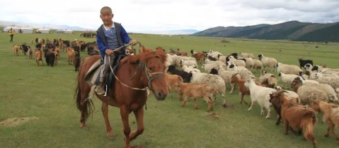 a cheval en Mongolie
