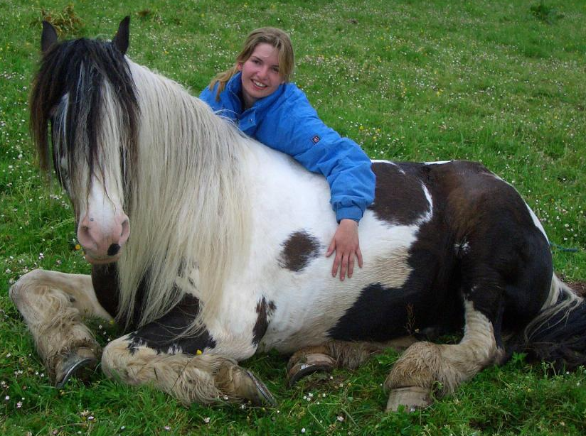 rando Irlande à cheval