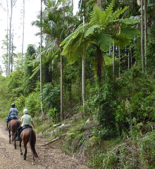 rando équestre Australie