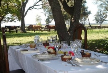 rando a cheval en argentine