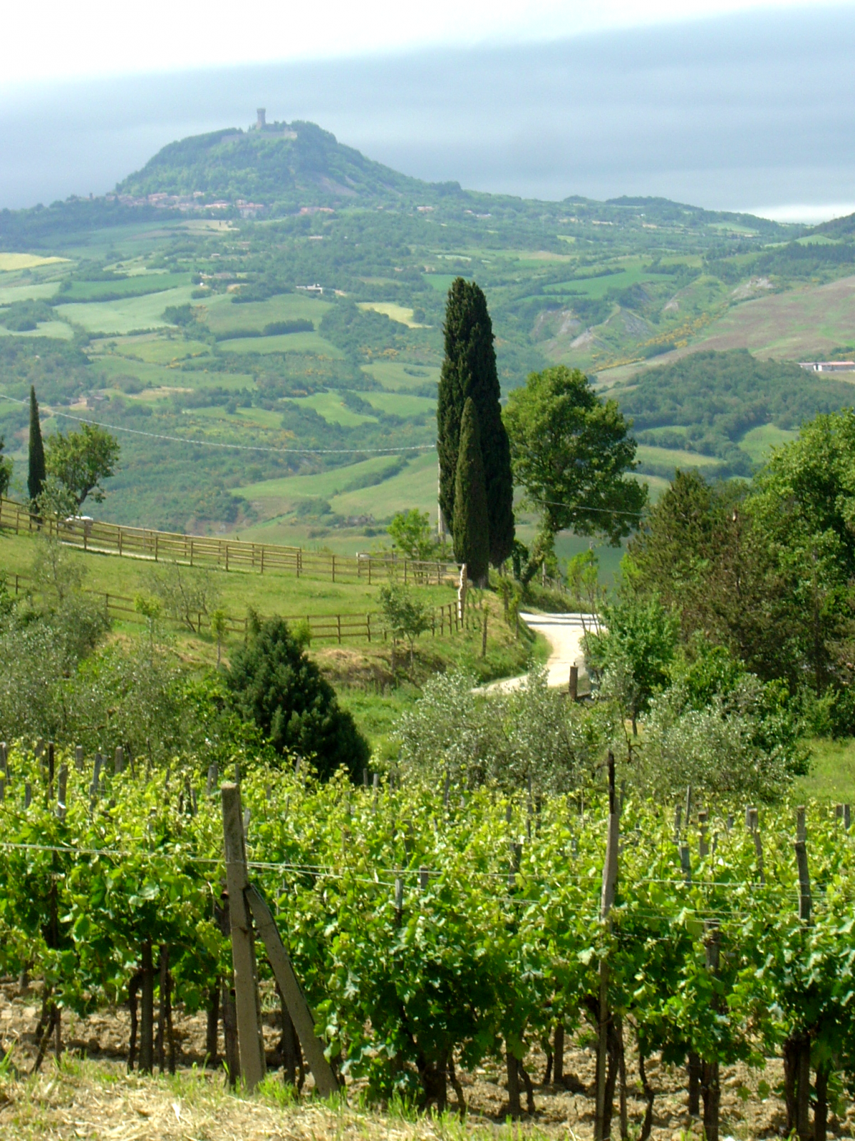 rando a cheval toscane