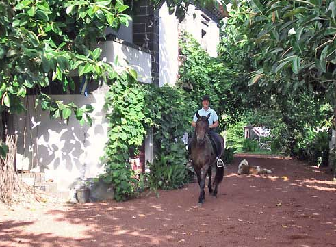 rando à cheval Acores