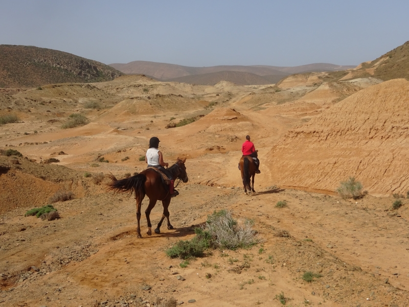 rando a cheval Maroc