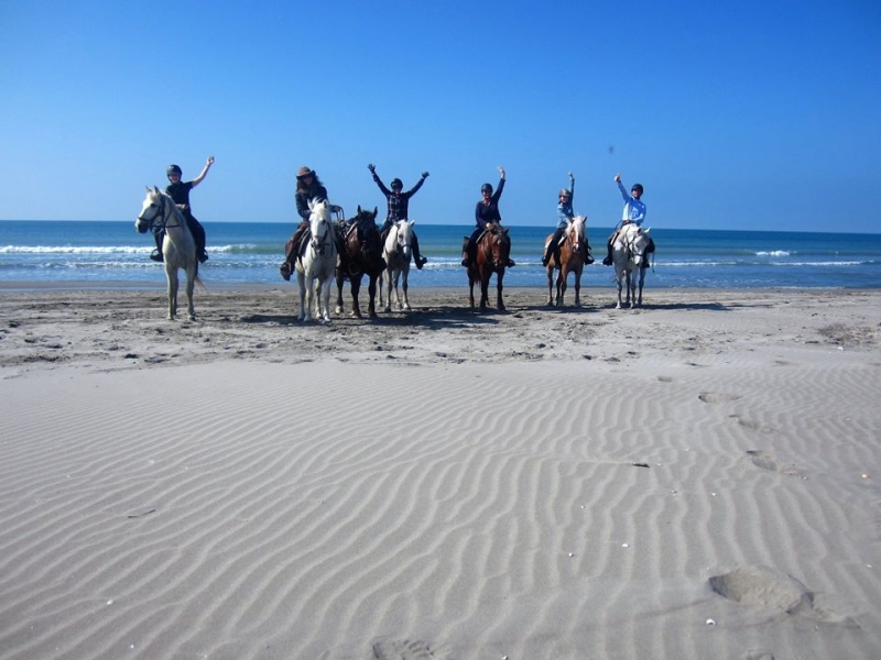 rando a cheval en Camargue