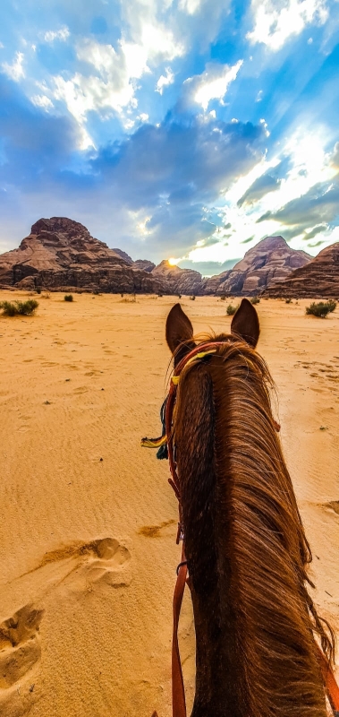 rando a cheval Jordanie