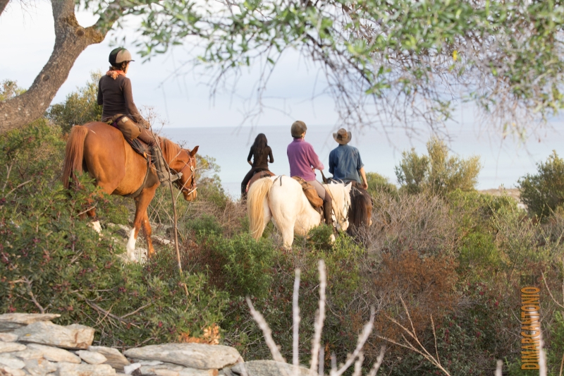 rando a cheval en Corse