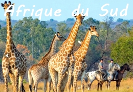 safari équestre en Afrique du Sud