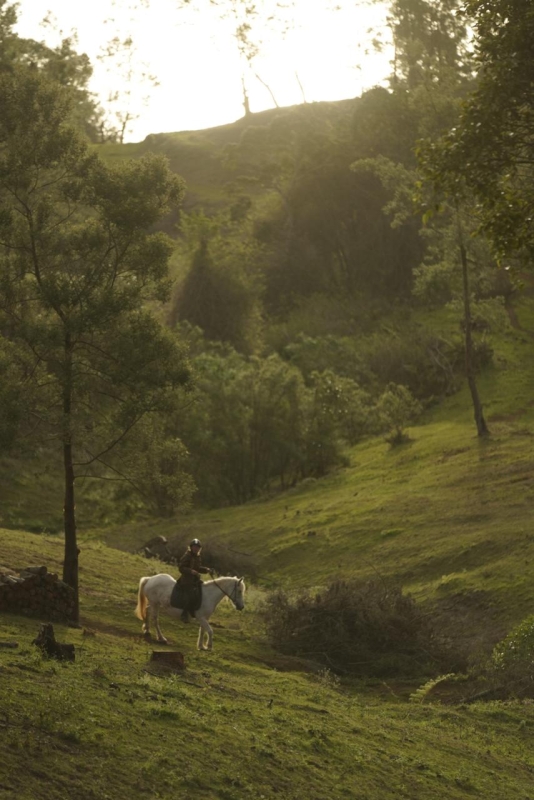 randonnée à cheval à la Reunion