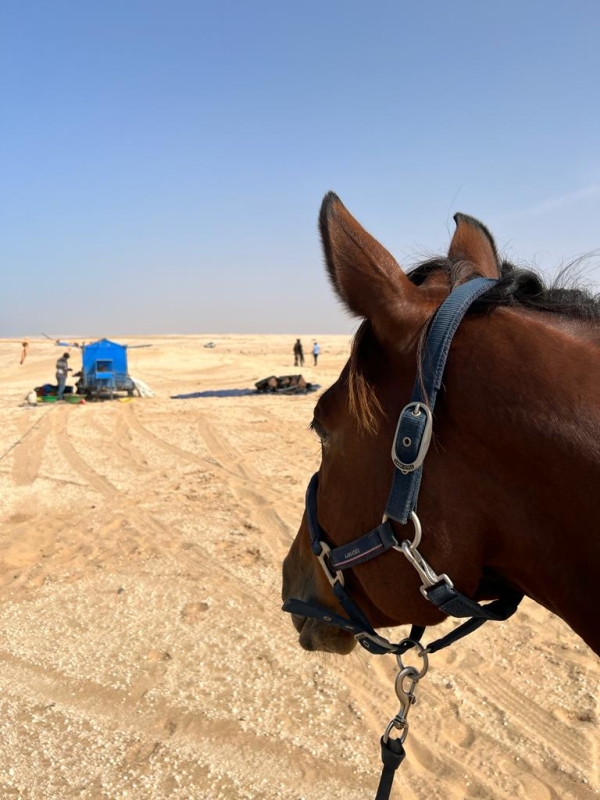 rando a cheval au Maroc