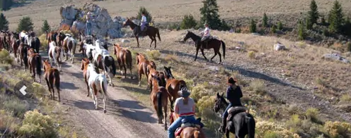 rando a cheval USA