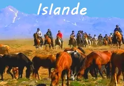 rando a cheval en Islande