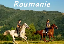 rando a cheval en Roumanie