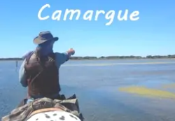 rando a cheval en Camargue