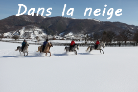 a cheval dans la neige