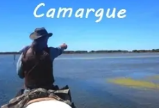rando à cheval en Camargue