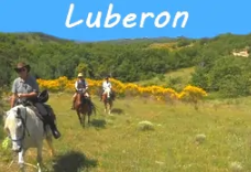 rando à cheval dans le Luberon