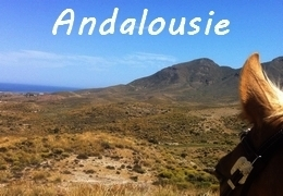 rando a cheval en Andalousie